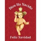 Catholic hanging banner for Christmas | Baby Jeus