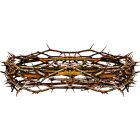 natural crown of thorns