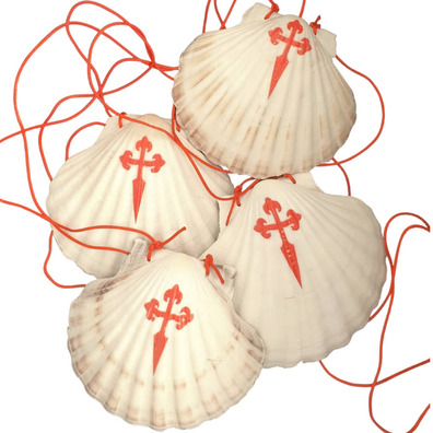 Pilgrim Shell | Scallop Camino de Santiago