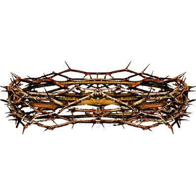 natural crown of thorns