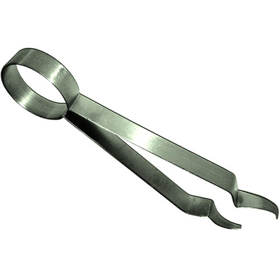 Silver Charcoal Tongs