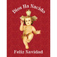 Catholic hanging banner for Christmas | Baby Jeus