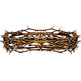 natural crown of thorns