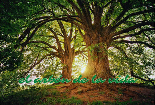 The tree of life | Catholic Chruch symbol